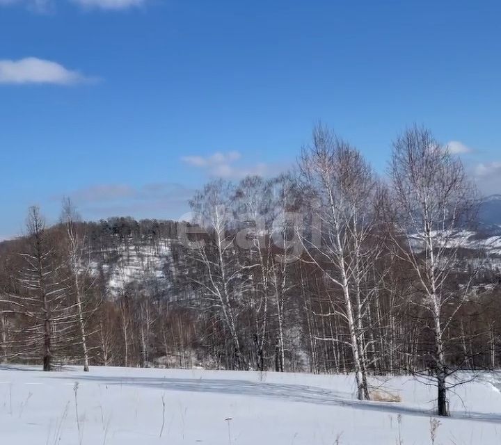 земля р-н Чемальский с Чемал ул Советская фото 3