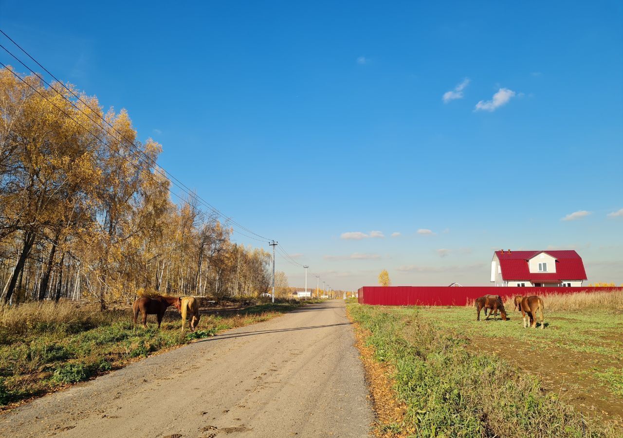 земля городской округ Ленинский д Мисайлово Лыткарино фото 2