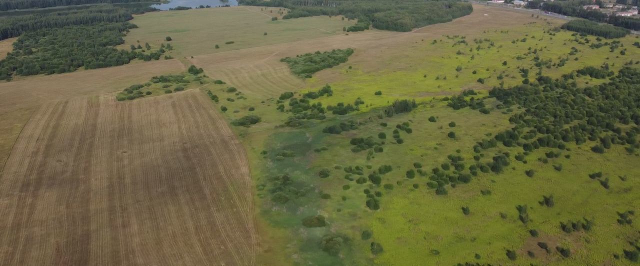 офис р-н Суздальский п Красногвардейский фото 5