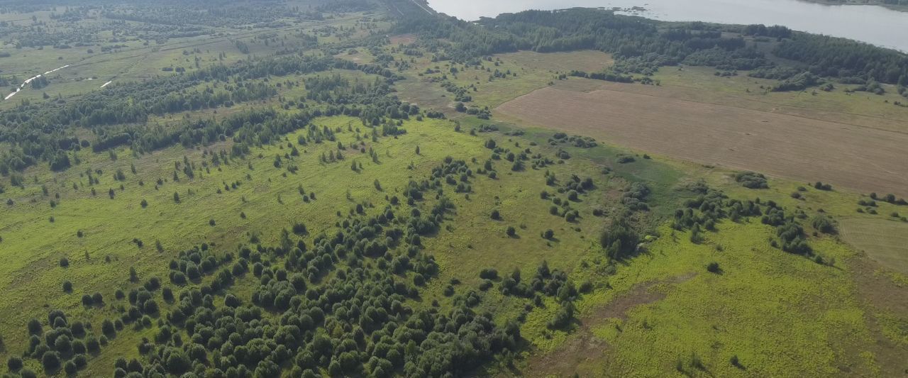 офис р-н Суздальский п Красногвардейский фото 10