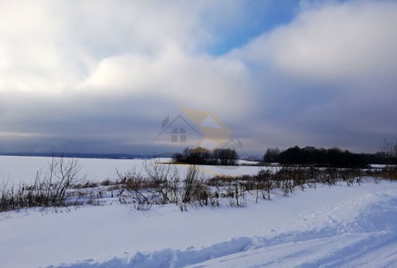 земля городской округ Дмитровский д Бородино Дмитров фото 8