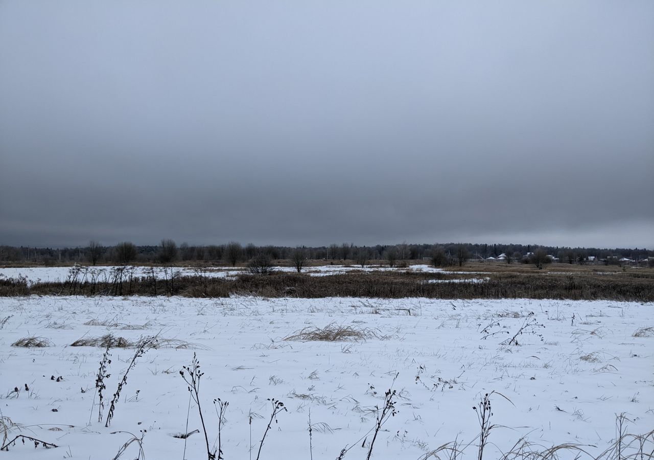 земля г Щёлково территория Петровский лес-2, Ясеневая ул, Красноармейск фото 3