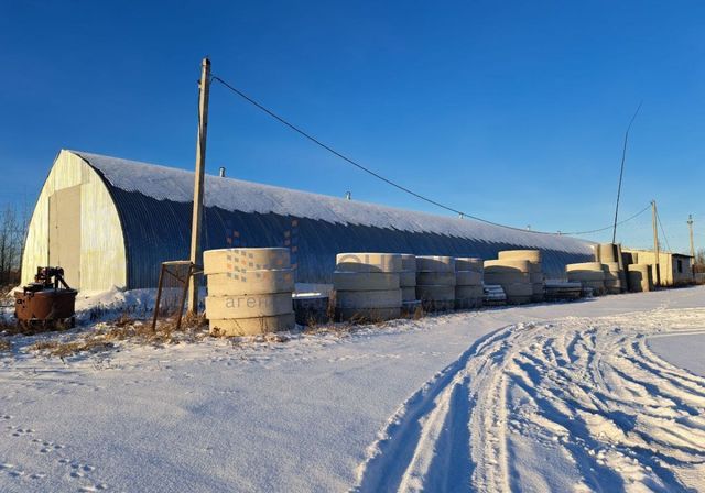 земля р-н Медведевский д Яныково ул Центральная Руэм фото