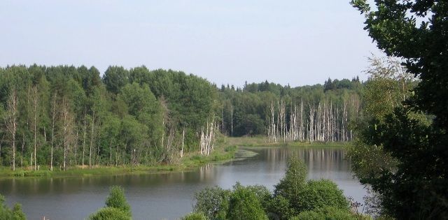 земля р-н Валдайский д Борцово Яжелбицкое с/пос фото 1