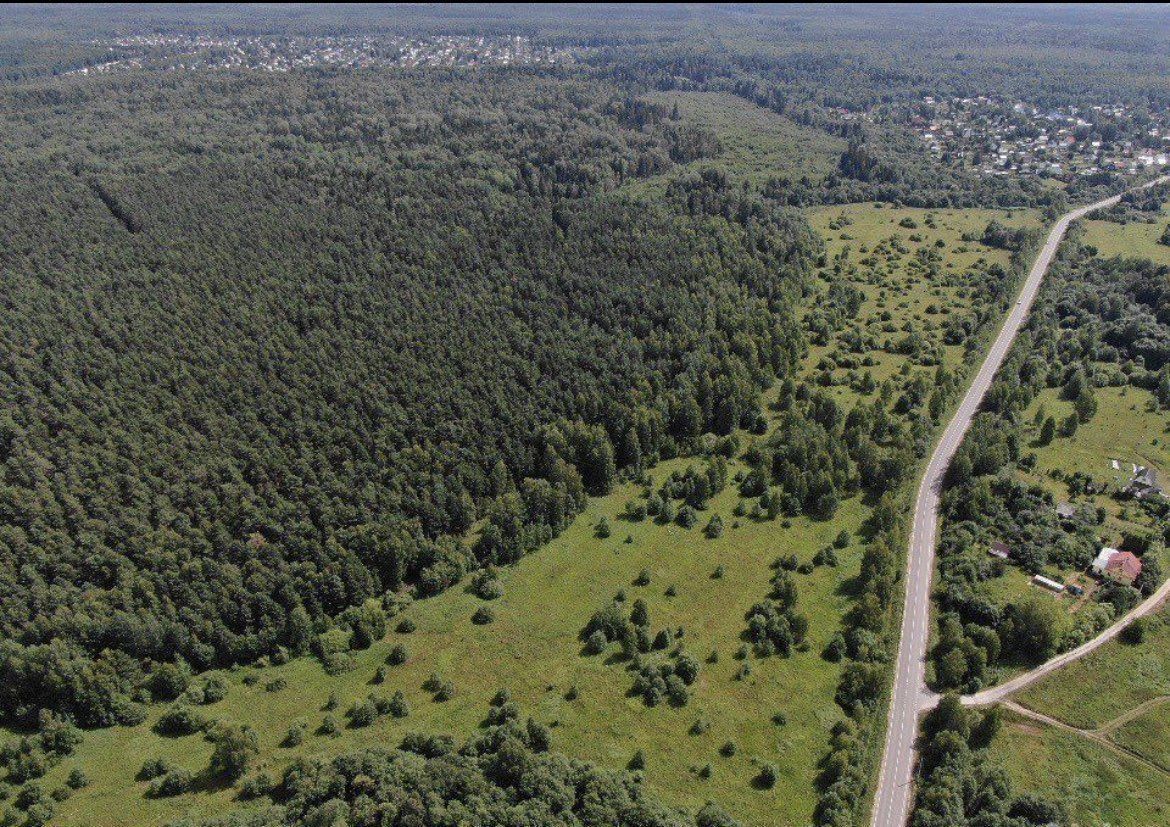 земля городской округ Дмитровский д Пантелеево Дубна фото 3