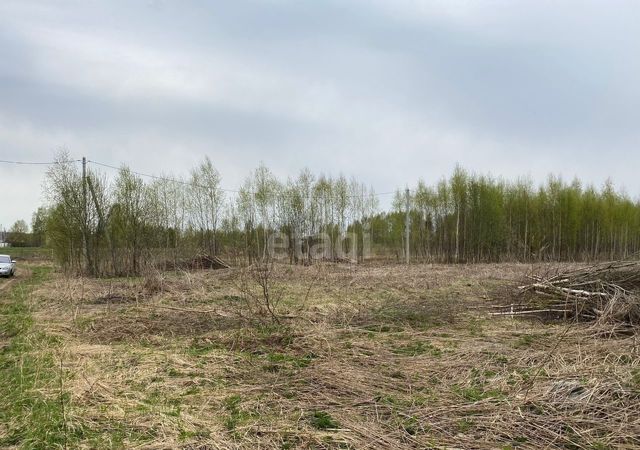 земля р-н Костромской д Терентьево Бакшеевское сельское поселение, Кострома фото