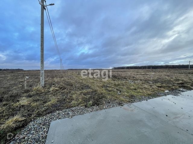 земля р-н Гурьевский п Голубево ул Восточная фото 1