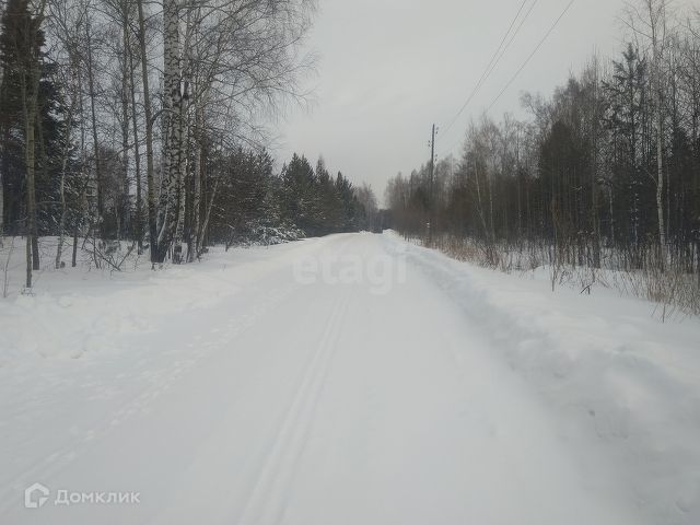 земля р-н Емельяновский фото 7