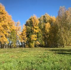 офис р-н Асиновский д Воронино-Яя фото 7