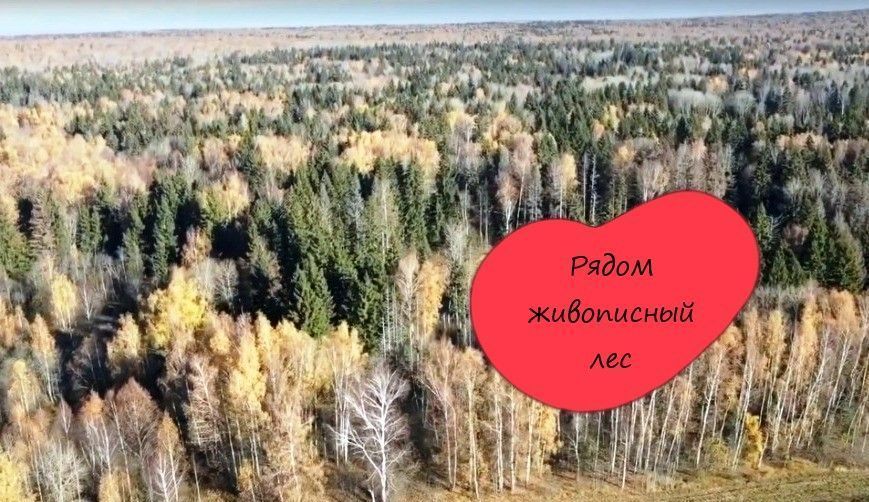 земля городской округ Клин д Акатьево Клин фото 4