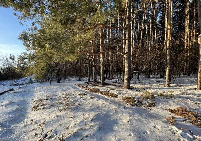 р-н Тамбовский с Большая Липовица Большелиповицкий сельсовет, ул. Буртускин Бугор, Котовск фото