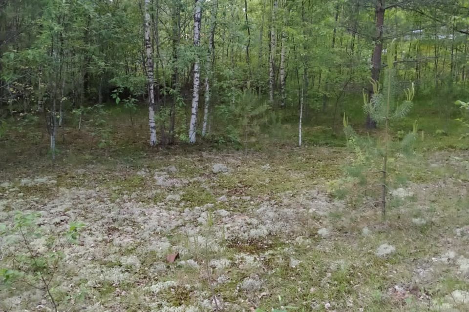 земля р-н Киришский массив Посадников Остров фото 3