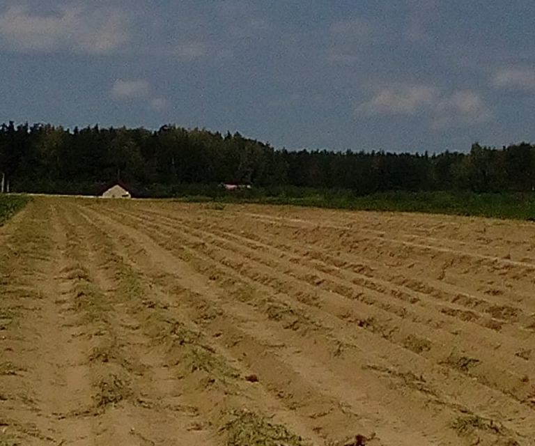 земля р-н Городецкий фото 1