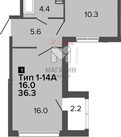 г Санкт-Петербург метро Комендантский Проспект пр-кт Комендантский 60к/3 фото