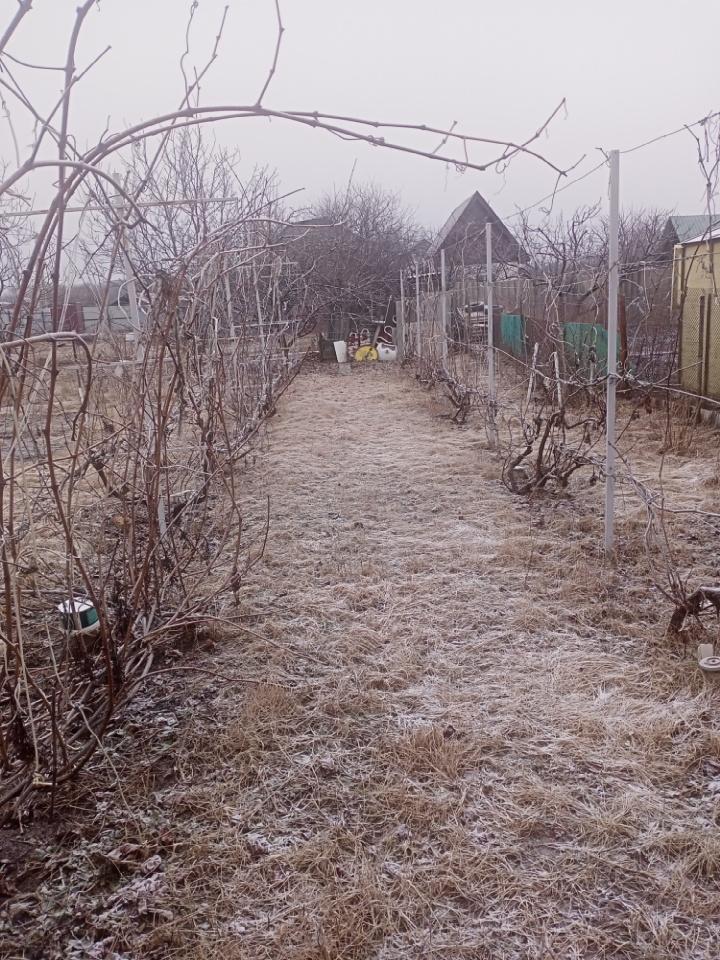 дом р-н Белгородский фото 18