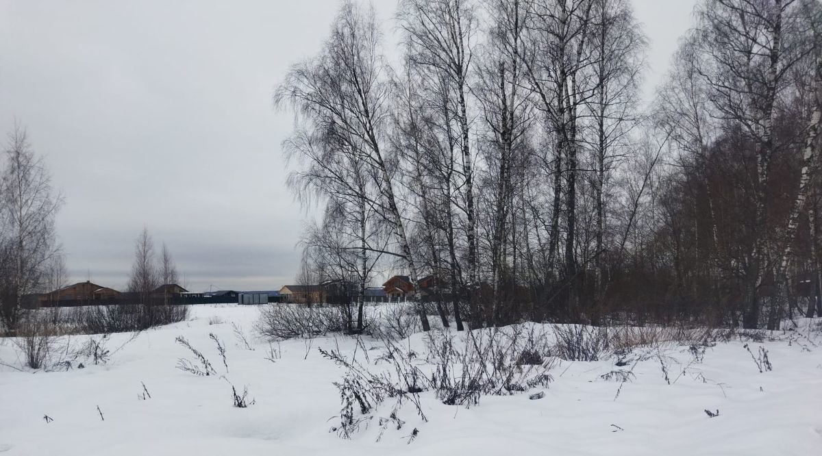 земля городской округ Мытищи д Протасово Лисья Горка кп фото 11