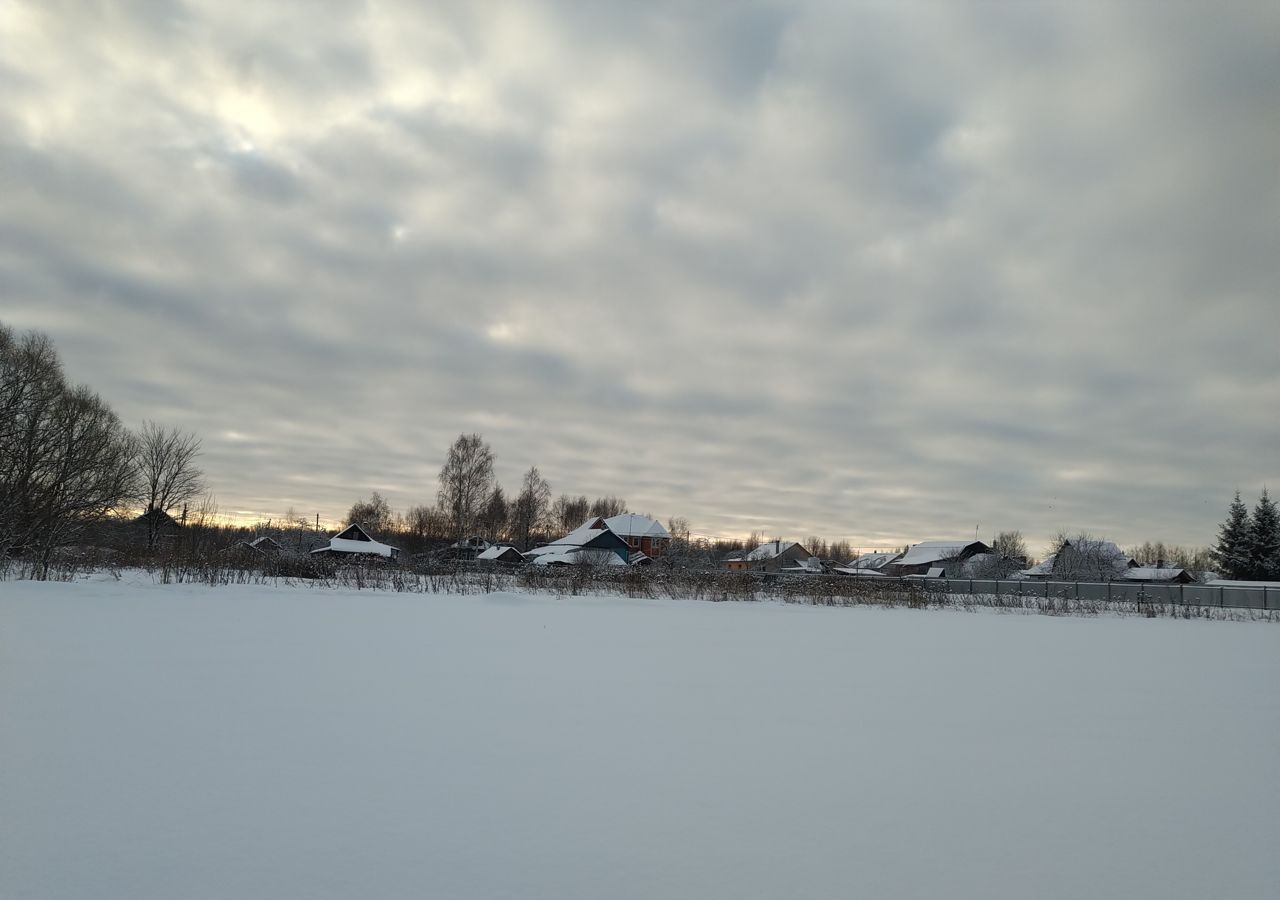 земля городской округ Орехово-Зуевский д Кудыкино Ликино-Дулево фото 5