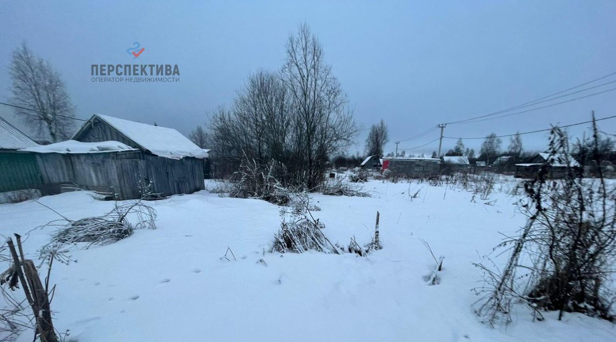 земля р-н Тосненский Любанское городское поселение, Осока садовые участки, 4-я линия фото 2