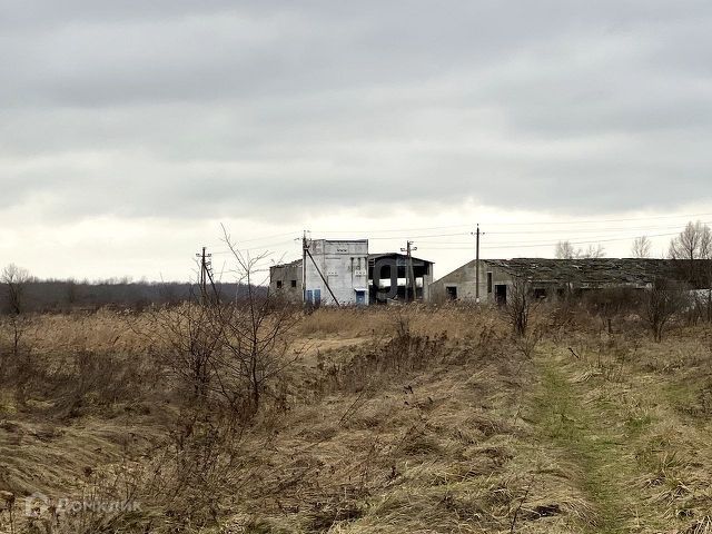 земля р-н Гурьевский фото 3