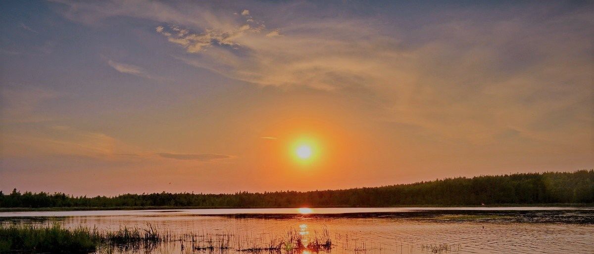 офис р-н Александровский Следневское муниципальное образование фото 3