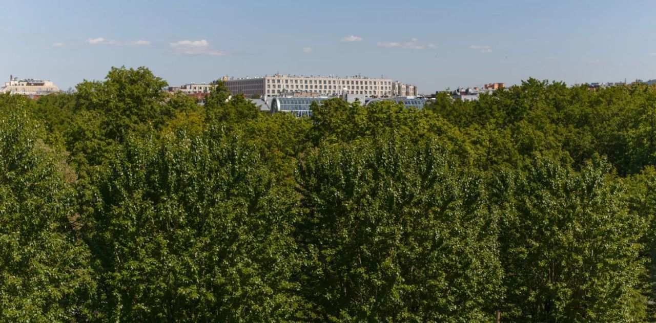 квартира г Санкт-Петербург метро Пушкинская Семеновский муниципальный округ фото 11