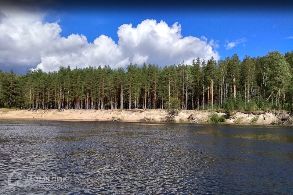 земля р-н Выборгский фото 4