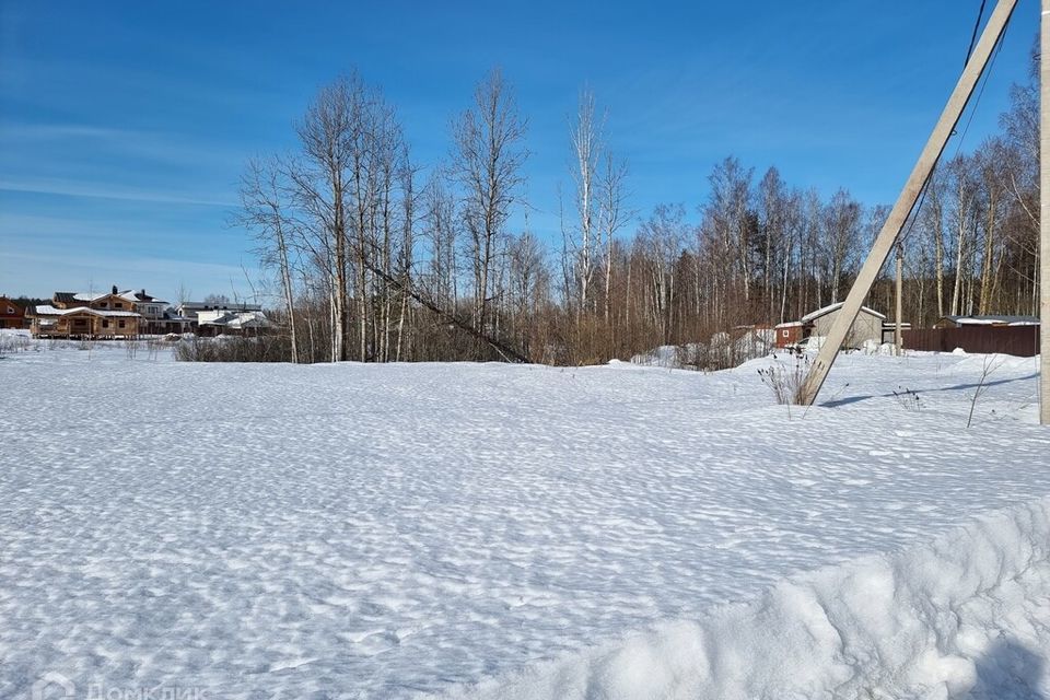 земля р-н Выборгский фото 6