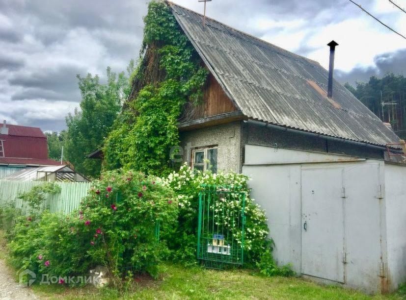 дом  фото 1
