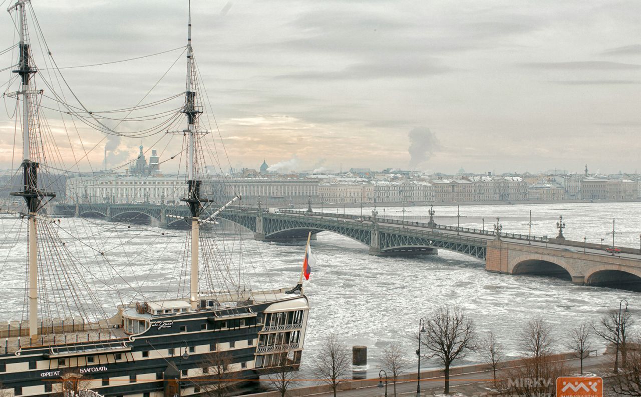 квартира г Санкт-Петербург метро Горьковская Троицкая пл. Петроградской стороны, 1 фото 3