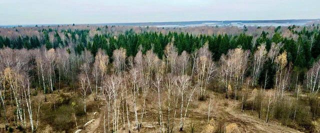 г Домодедово мкр Центральный Центрального фото