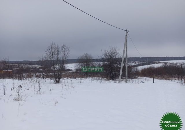 р-н Пензенский с Малая Валяевка ул Центральная Пенза фото