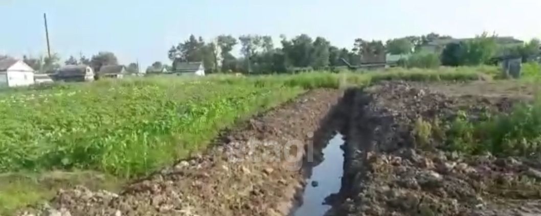 земля р-н Кировский с Шмаковка ул Луговая фото 2