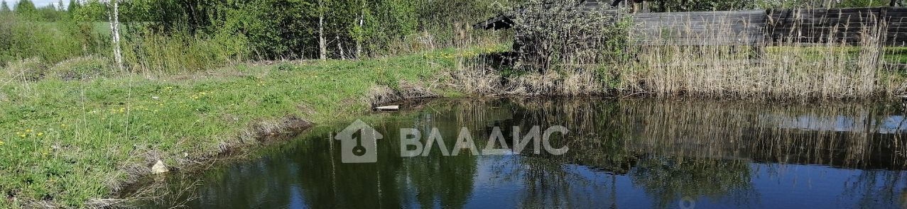 земля городской округ Раменский д Дергаево ул Красная 36/2 фото 4