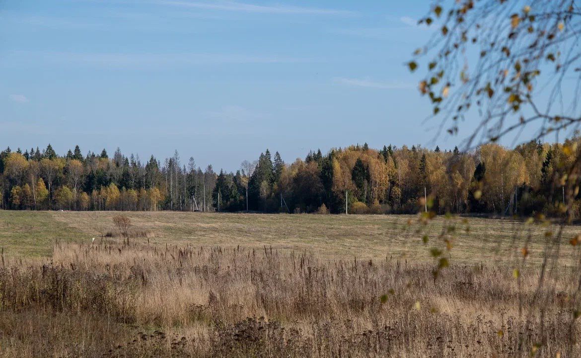 земля городской округ Одинцовский г Звенигород коттеджный пос. Матрёшки Вилладж фото 8