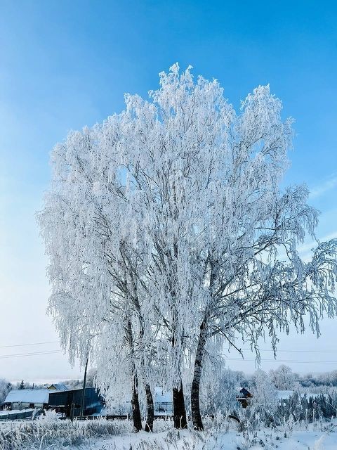 дом р-н Туймазинский фото 6