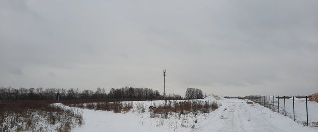 р-н Ленинский д Малевка ул Центральная Тула фото