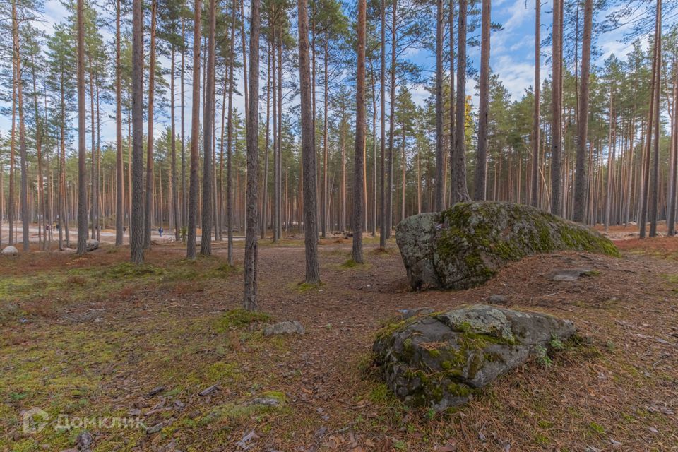 земля р-н Приозерский фото 2