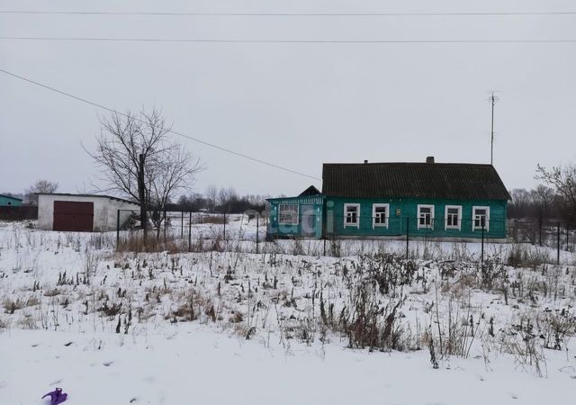 р-н Мичуринский с Терское ул Московская Терский сельсовет, Устье фото