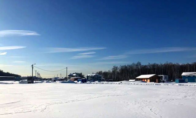 земля городской округ Пушкинский п Нагорное Лесной, коттеджный пос. Благово фото