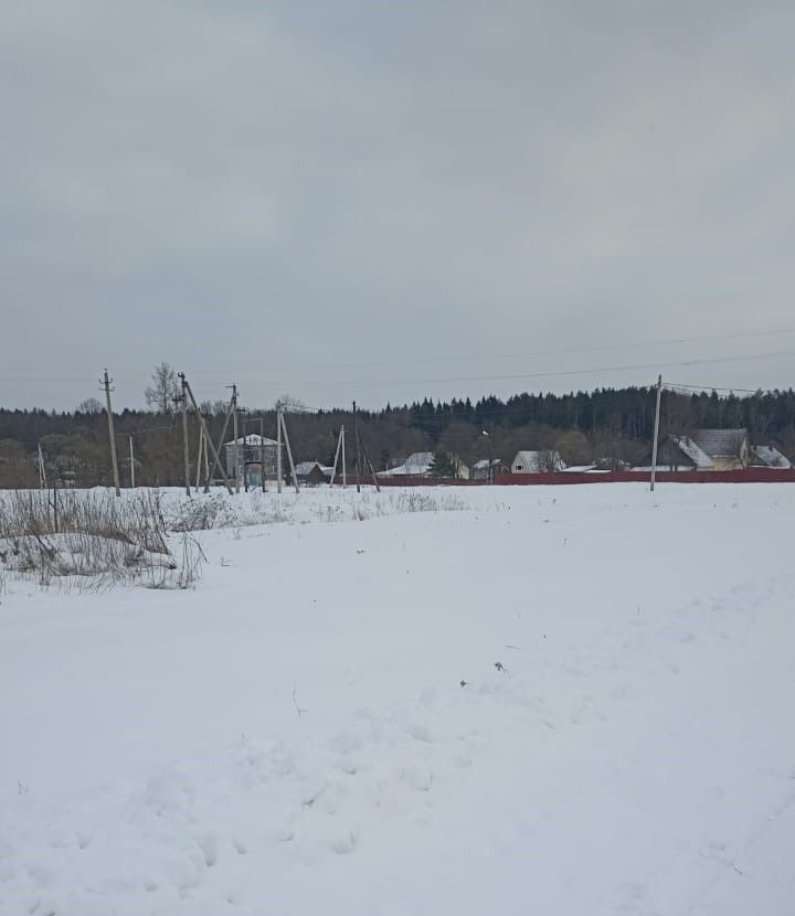 земля городской округ Раменский с Никитское г. о. Домодедово фото 3