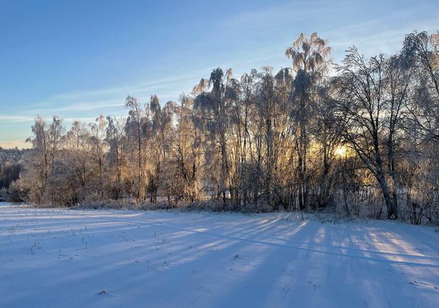 земля городской округ Сергиево-Посадский х Шубино снт Машиностроитель Краснозаводск фото