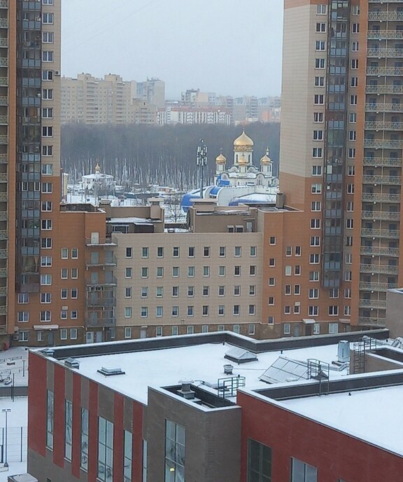 квартира г Санкт-Петербург метро Комендантский Проспект пр-кт Комендантский 53к/3 округ Коломяги фото 16