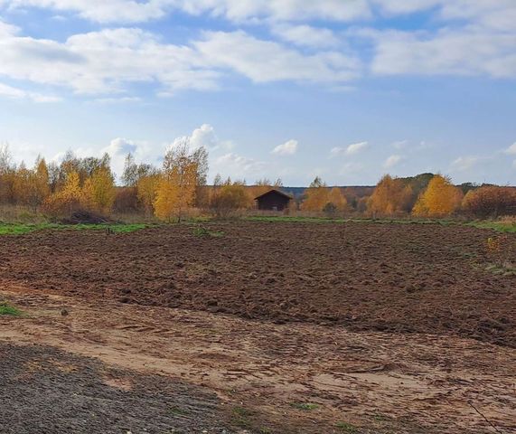 земля д Усадище ул Новая Псков, Новоизборская волость фото