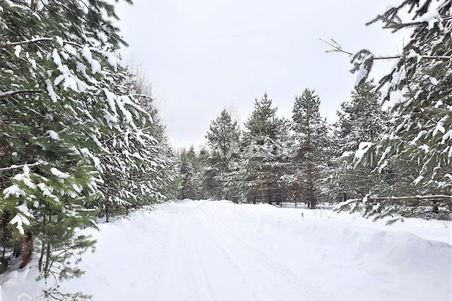 земля р-н Октябрьский фото