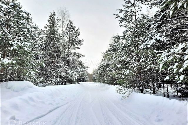 земля р-н Октябрьский фото