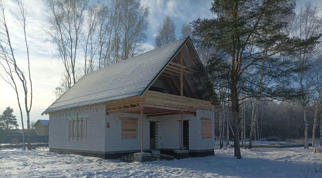 городской округ Богородский г Ногинск снт Вечерняя Москва фото