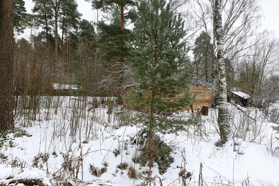 земля р-н Гатчинский фото 5