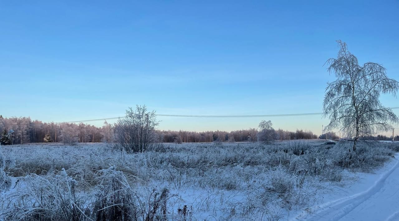 земля городской округ Сергиево-Посадский х Шубино снт Глазово фото 5