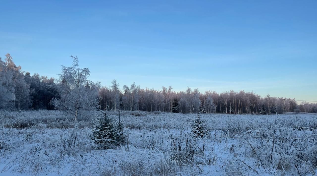 земля городской округ Сергиево-Посадский х Шубино снт Глазово фото 6