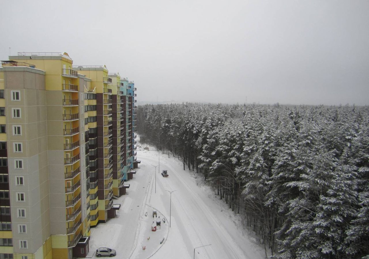 квартира городской округ Одинцовский рп Большие Вязёмы фото 7